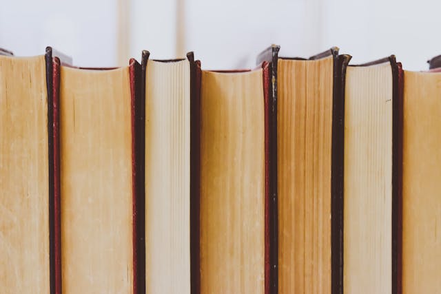 Bookshelf illustration
